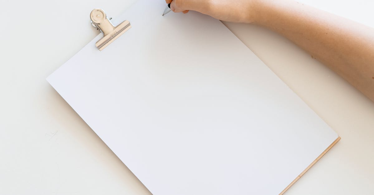 Tips for Pairing Sans-serif Fonts with Feather Banners